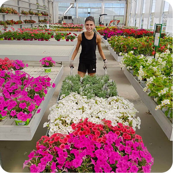 Personale La Primula al lavoro tra i fiori in serra